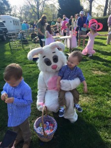 Easter bunny   